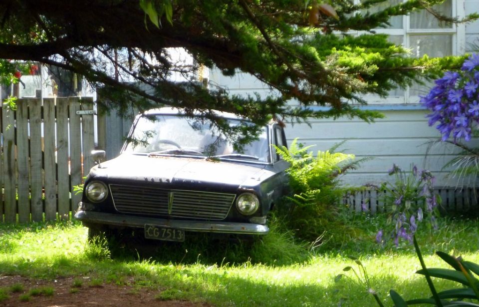 Front view of a dark sedan with license plate CG 7513, partially obscured by trees and foliage