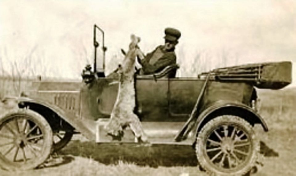 1915 Ford Model T with a man holding a rabbit inside the car
