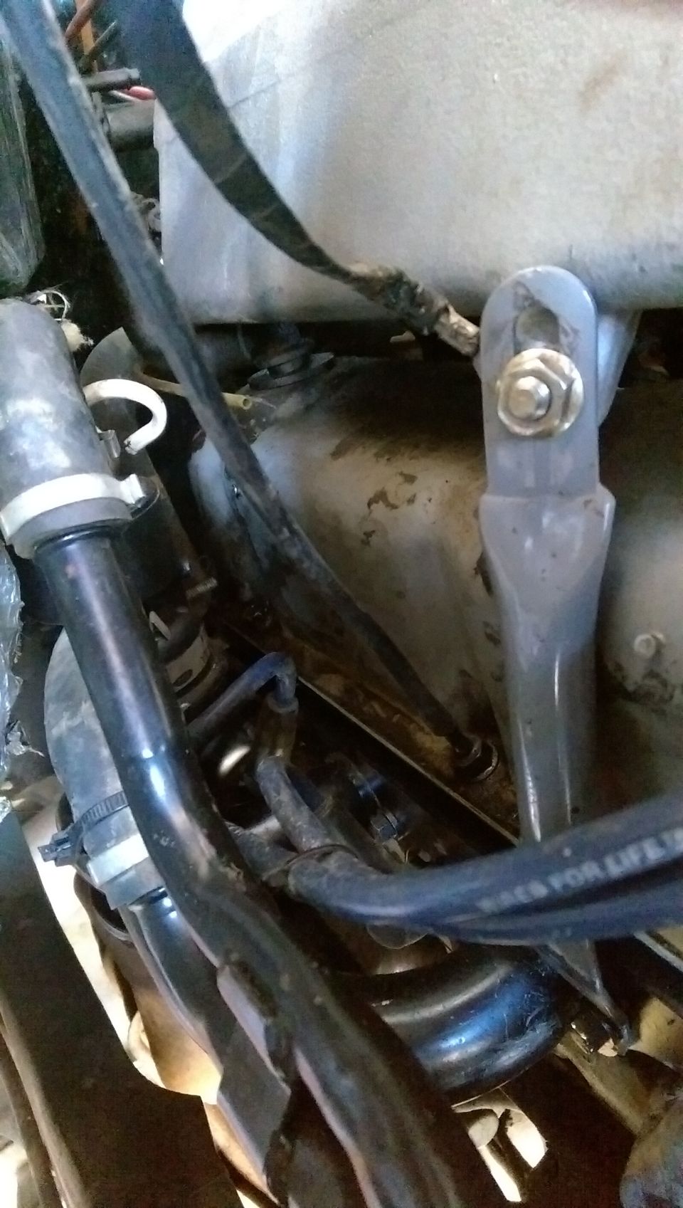 Engine bay vacuum lines and hoses