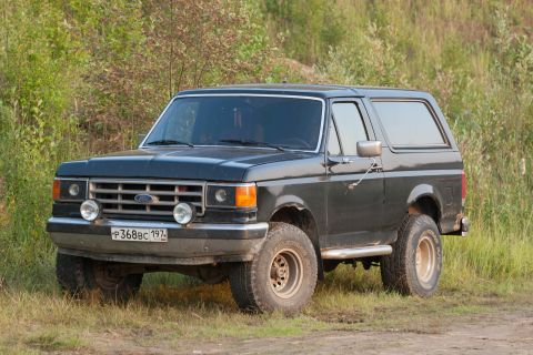 1987 Ford Bronco - This 1987 Ford Bronco is seen in a grassy, wooded area, its distinctive body style and a visible license plate.