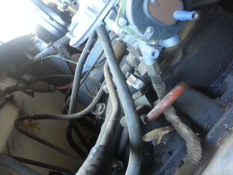 1973 Ford F-100 - Close-up view of engine components, including a carburetor and numerous hoses, with visible signs of wear and rust.