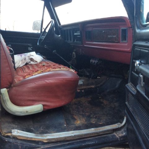 1979 Ford Bronco photo