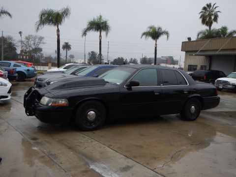 2003 Ford Crown Victoria - black Ford Crown Victoria police-style sedan with steel wheels and a push bar sits on a rain-soaked lot lined with palm trees.