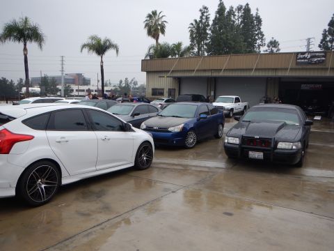 2003 Ford Crown Victoria - lineup of cars on a rain-soaked lot, including a white Ford Focus hatchback, a blue Ford Focus and a black Crown Victoria.