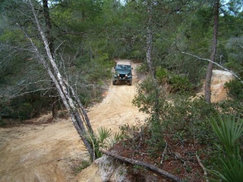 1991 Ford Bronco - A Jeep navigates a dirt path surrounded by dense trees and foliage.