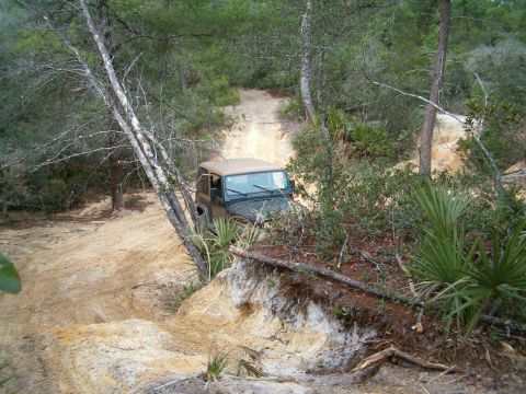 1991 Ford Bronco - A Jeep Wrangler navigates a challenging sandy off-road trail surrounded by trees and vegetation.