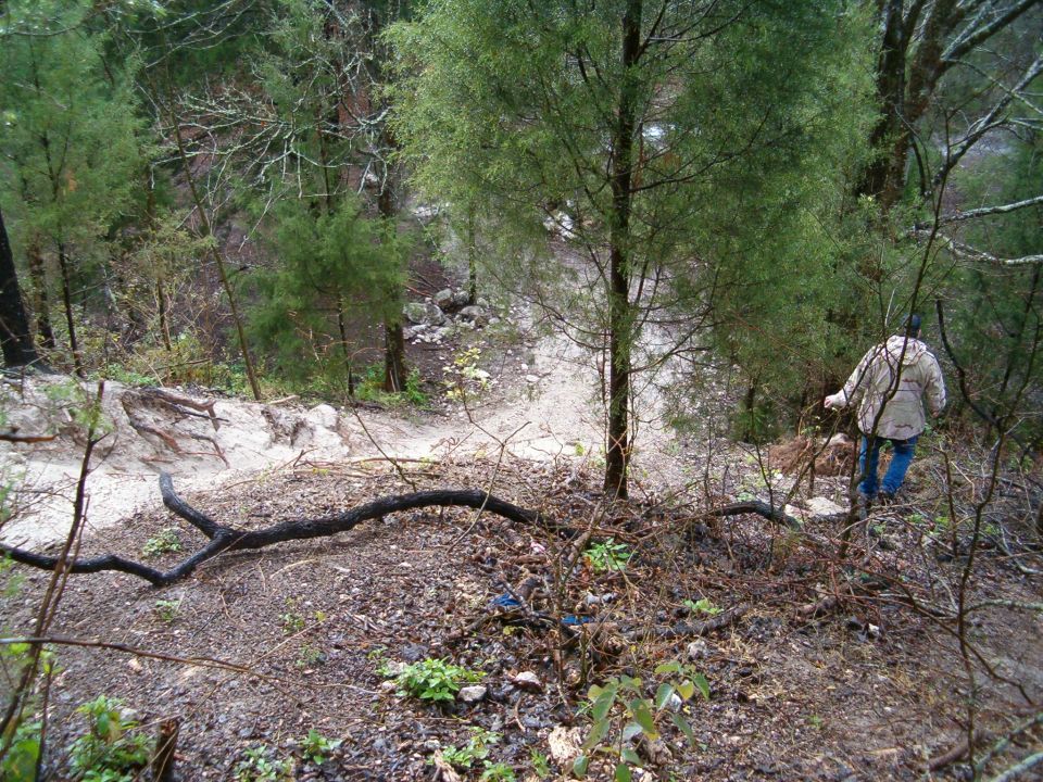 Person in camo jacket walking down a sandy eroded trail cut through pine woods