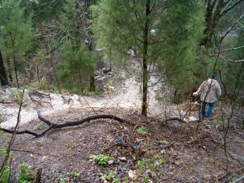 1991 Ford Bronco - A person in a light camo jacket and jeans walks down a steep, wooded sand bank toward a pale trail below, framed by pines, scrub and fallen…