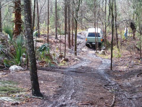 1991 Ford Bronco - A light green SUV navigates a muddy path through a dense forest.