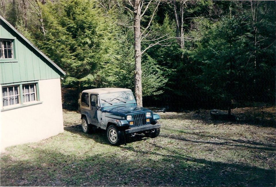 1995 Ford Bronco in 2015