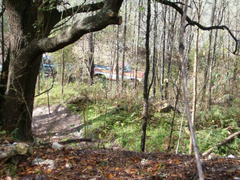 1991 Ford Bronco - A red and white pickup truck is visible amongst the trees in a wooded area.