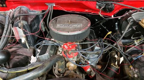 1983 Ford Bronco - Close-up view of a vehicle's engine bay, an Edelbrock air cleaner and an MSD ignition distributor.