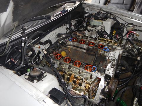 2002 Ford Mustang - The engine of a 2002 Ford Mustang is exposed for maintenance, revealing internal components like the timing chain and camshafts.