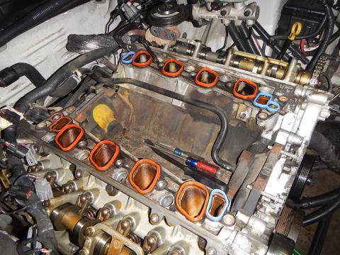 2002 Ford Mustang - Engine components are exposed with intake manifold gaskets visible, suggesting maintenance work.