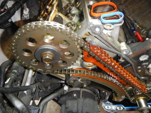2002 Ford Mustang - Engine timing chain and gear assembly during a repair or replacement procedure.