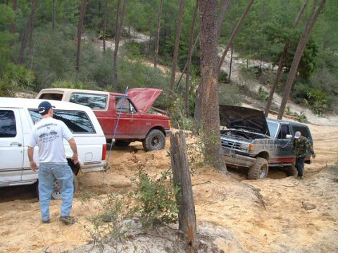 1992 Ford Bronco - Off-road vehicles are gathered in a sandy, wooded area with their hoods open.