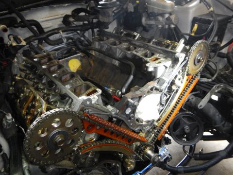 2002 Ford Mustang - Close-up view of an engine's timing chain and gears, likely during a replacement procedure.