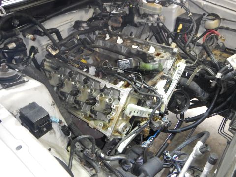 2002 Ford Mustang - Engine bay during timing chain replacement, showing disassembled engine components and associated wiring.