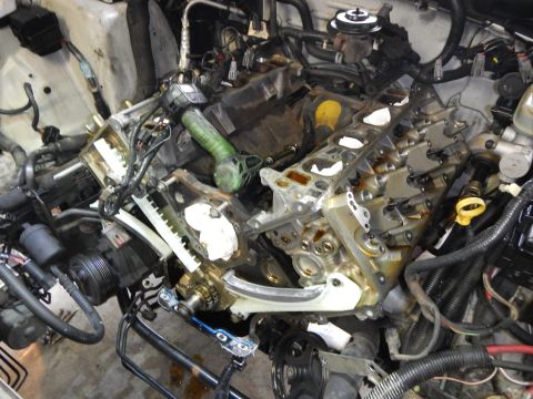 2002 Ford Mustang - Engine components are visible during a timing chain replacement procedure.