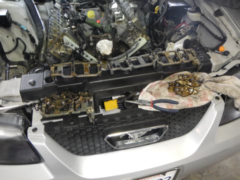 2002 Ford Mustang - Engine bay of a 2002 Ford Mustang undergoing timing chain replacement, with parts disassembled.