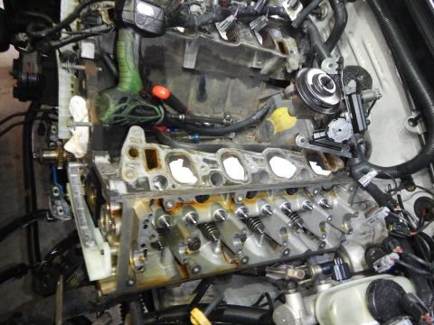 2002 Ford Mustang - Close-up view of an engine's internal components, including the timing chain and cylinder head, with tools nearby.