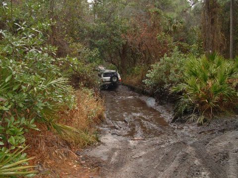 1992 Ford Bronco - Off-road vehicle navigating a muddy trail surrounded by dense vegetation. The vehicle is seen from the rear.
