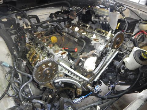 2002 Ford Mustang - Engine timing chain and gears are visible during a repair procedure.