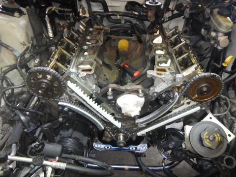 2002 Ford Mustang - The engine's timing chain system is visible with components removed for maintenance.