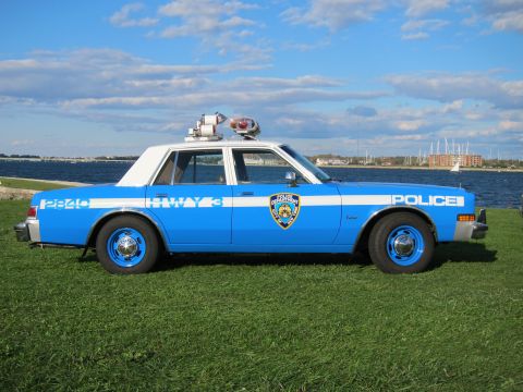 1991 Ford LTD Crown Victoria - Side view of a blue and white police car parked on grass near the water.