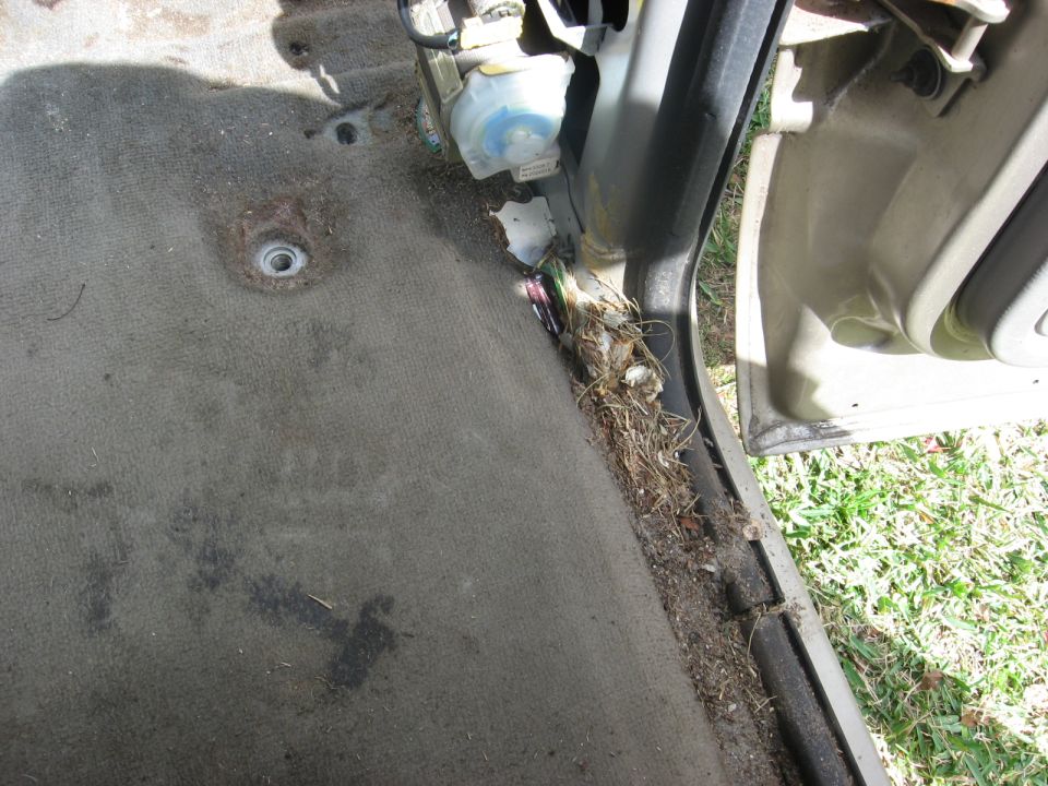 Car floor carpet with debris and wiring near the door jamb. A blue fluid container is visible