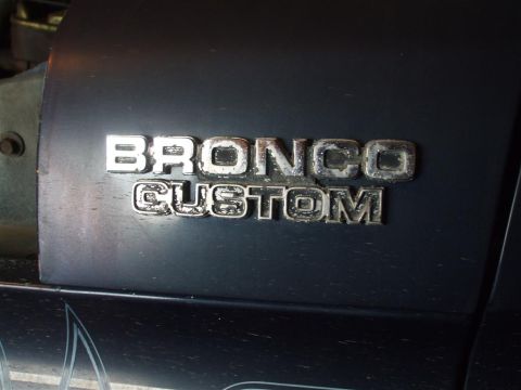 1979 Ford Bronco - Close-up of the "Bronco Custom" badging on the side of a vehicle.