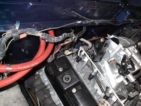 1979 Ford Bronco - Close-up of engine bay components, including red hoses and electrical wiring. Text on hose is visible.