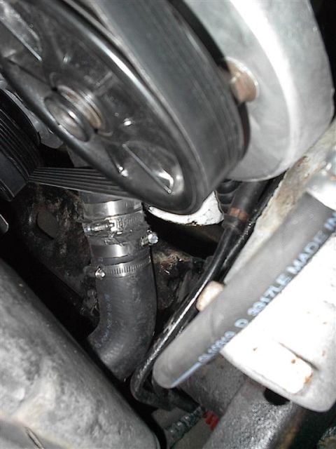 1979 Ford Bronco - A close-up view of engine components, including a belt and a hose assembly with clamps.