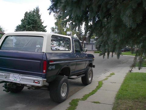 1979 Ford Bronco - This lifted Ford Bronco, likely a 1978 model, is parked on a suburban street, partially obscured by tree branches.