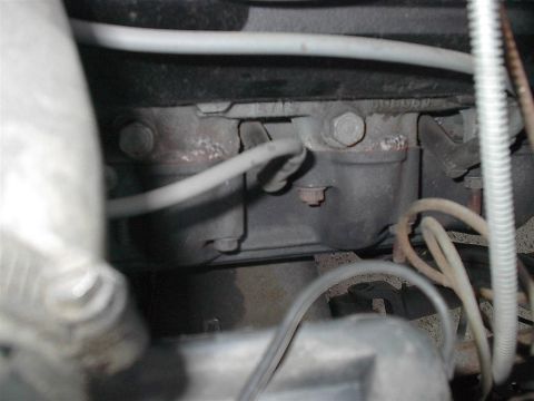 1979 Ford Bronco - A close-up view of engine components, including the block and various wires and hoses.