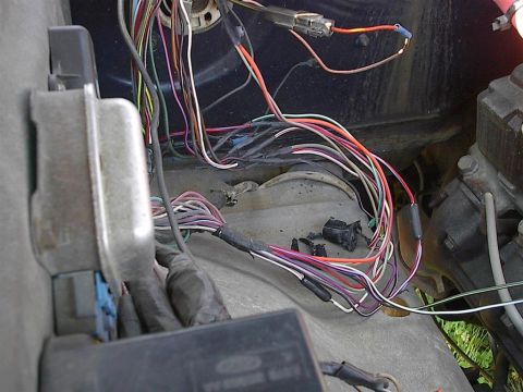 1979 Ford Bronco - A tangled mess of wires and connectors is visible in the engine bay of a vehicle.