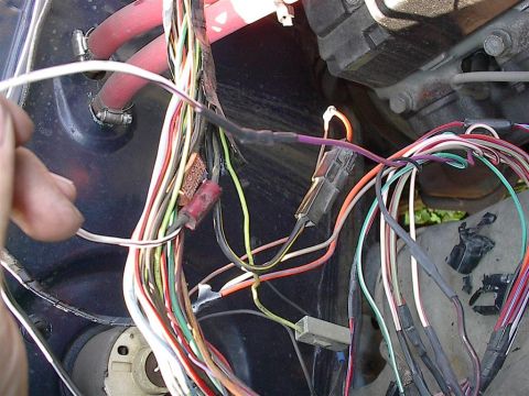 1979 Ford Bronco - Close-up view of a complex engine wiring harness with numerous wires and connectors.