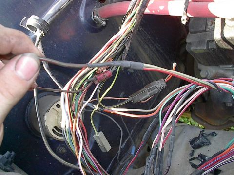 1979 Ford Bronco - Vehicle wiring harness with many colorful wires and connectors visible.