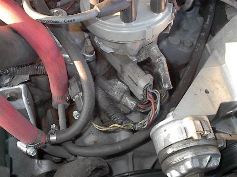 1979 Ford Bronco - Engine bay detail showing the distributor cap, spark plug wires, and coolant hoses.