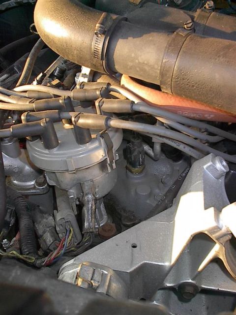 1979 Ford Bronco - A close-up view of an engine bay reveals a distributor cap and spark plug wires.