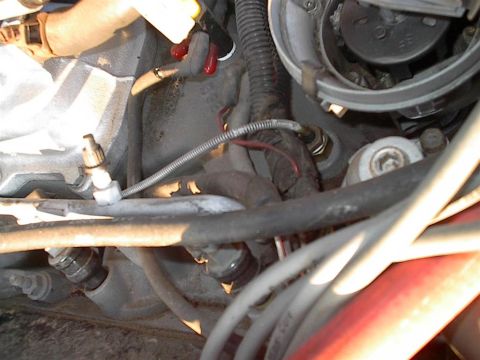 1979 Ford Bronco - Close-up view of engine components, including the distributor and various wires and hoses.