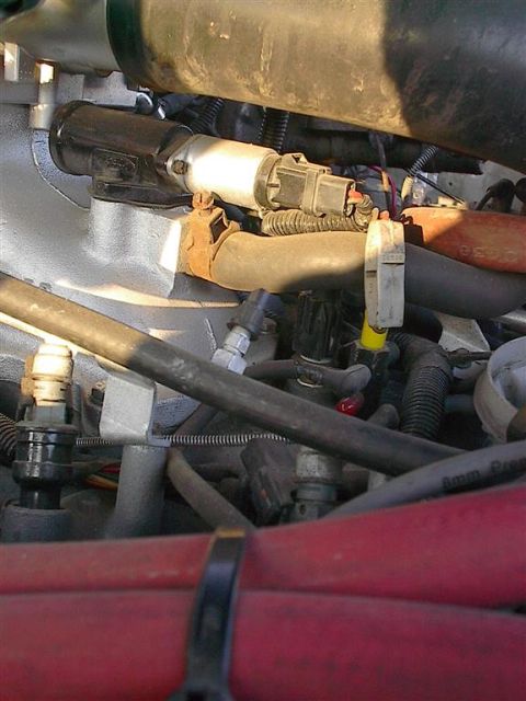 1979 Ford Bronco - Engine bay detail showing various hoses and electrical connections.