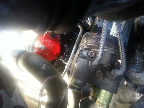 1994 Ford Bronco - A red power steering pump is visible among hoses and engine components.