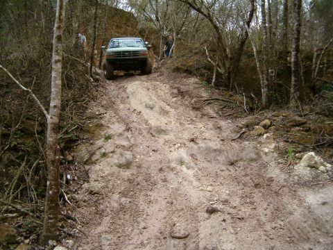 1991 Ford Bronco - A Ford F-Series truck navigates a challenging muddy incline surrounded by dense woodland.