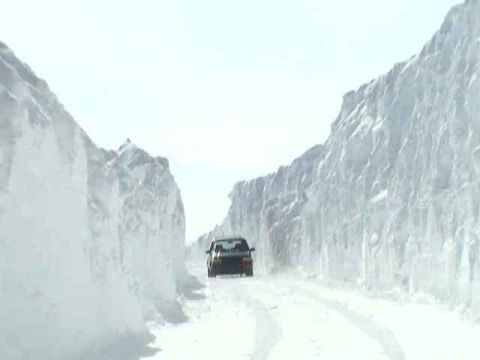 1979 Ford Bronco - A vehicle navigates a path carved through immense snowdrifts under a bright sky.