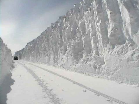 1979 Ford Bronco - A lone car navigates a narrow road flanked by towering snowbanks under a hazy sky.