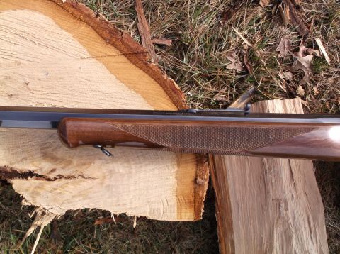 1995 Mercury Grand Marquis - A rifle is shown resting on cut logs, with dry grass and leaves in the background.
