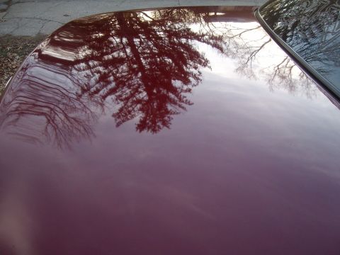 2004 Ford Crown Victoria - Rear shot of wax job.