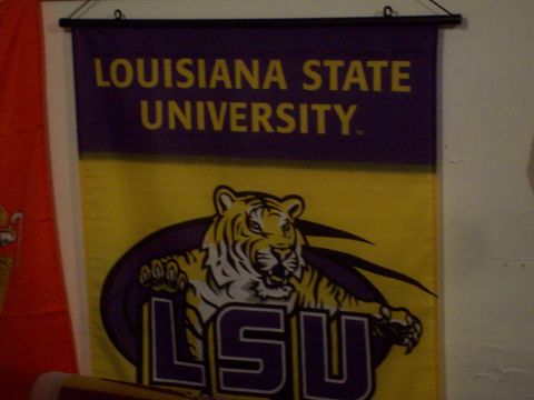 2004 Ford Crown Victoria - Geaux Tigers!!!