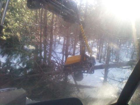 1963 Hummer H3 - Logging equipment operates in a snow-covered forest, with sunlight filtering through the trees.